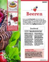 Vorschau: ZauberTopf 04/2017 Vorschau: ZauberTopf 04/2017