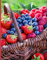 Vorschau: ZauberTopf 04/2017 Vorschau: ZauberTopf 04/2017