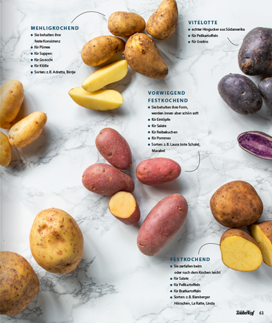 Zaubertopf Einfach lecker - Die Besten ONE POTS
